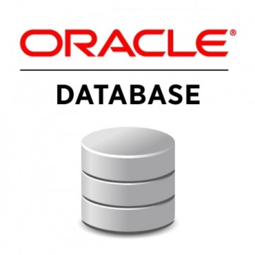 Consultoria em Banco de Dados Oracle em Mauá